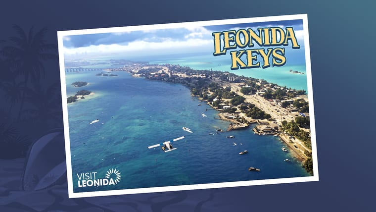 Official Visit Leonida postcard artwork for the Leonida Keys